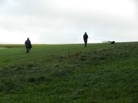 DSCN1087