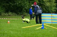 IMG-20251005-WA0008