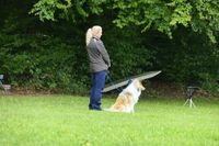 IMG-20251005-WA0011