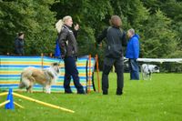 IMG-20251005-WA0012
