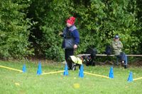 IMG-20251005-WA0013