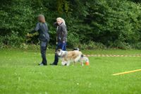 IMG-20251005-WA0014