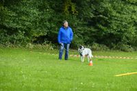 IMG-20251005-WA0015