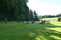 IMG-20250906-WA0003
