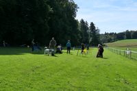 IMG-20250906-WA0007