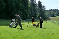 IMG-20250906-WA0008