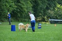 IMG-20250816-WA0003