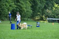IMG-20250816-WA0004