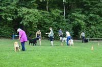 IMG-20250816-WA0007