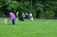 IMG-20250816-WA0008