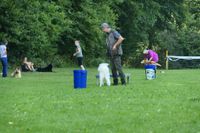 IMG-20250816-WA0010