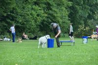 IMG-20250816-WA0011