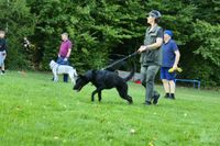 IMG-20250816-WA0013
