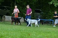 IMG-20250816-WA0014