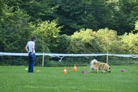 IMG-20250816-WA0016