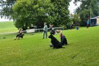 IMG-20250823-WA0004