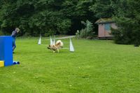 IMG-20250823-WA0009