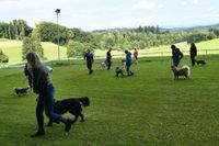 IMG-20250823-WA0012