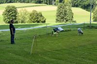 IMG-20250823-WA0013
