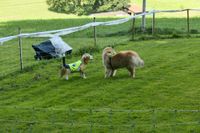IMG-20250823-WA0015