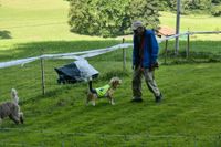 IMG-20250823-WA0016