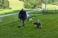 IMG-20250823-WA0017