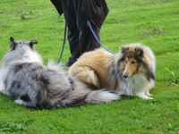 IMG_3167