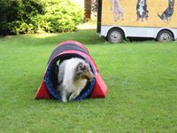 IMG_3220