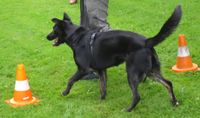 IMG_3250