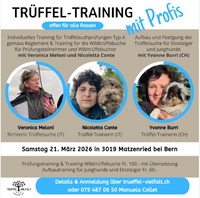 Screenshot 2026-03-26 203947