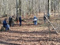 WhatsApp Image 2026-03-22 at 11.00.21 (1)