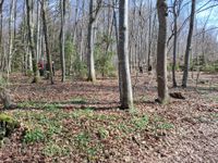 WhatsApp Image 2026-03-22 at 11.00.22 (1)