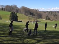 WhatsApp Image 2026-04-04 at 20.07.05 (2)