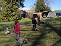 WhatsApp Image 2026-04-04 at 20.07.06 (2)