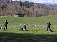 WhatsApp Image 2026-04-04 at 20.07.06