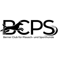 Logo mit transparenten Hintergrung