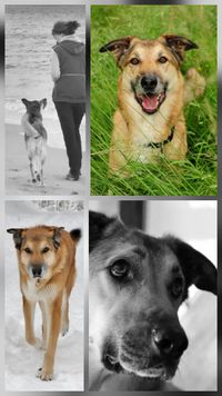 Bandito 2008 - 9. Nov. 2019