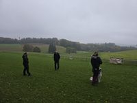 IMG-20251011-WA0001