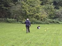 IMG-20251011-WA0003