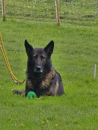 IMG-20251011-WA0009