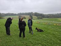 IMG-20251011-WA0010